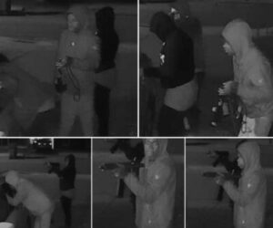 Suspects In attempted motor vehicle theft Memphis